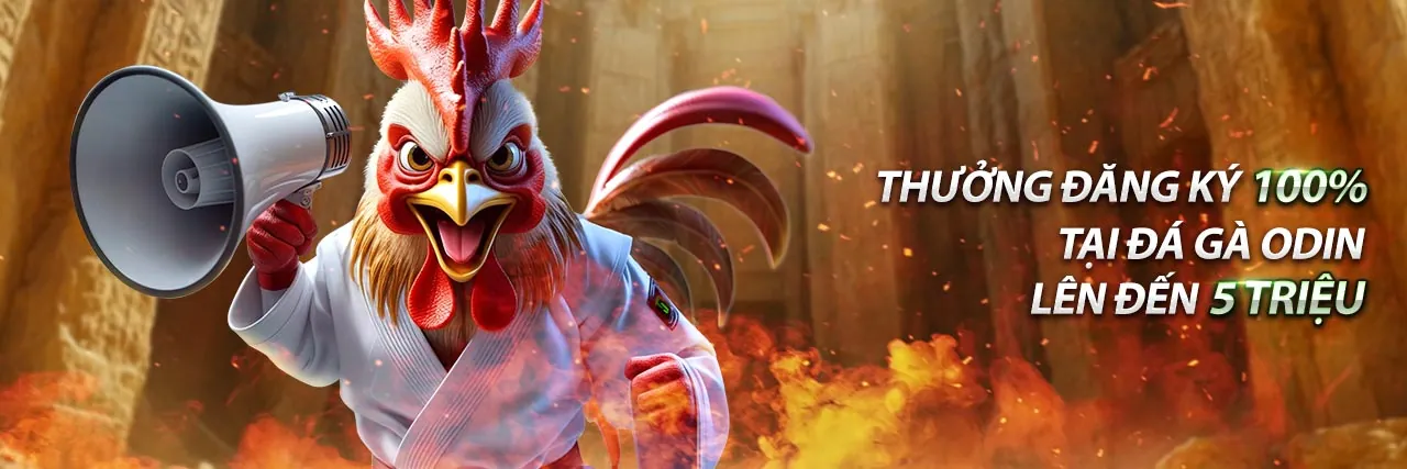 Đội ngũ hỗ trợ khách hàng chuyên nghiệp của 5com sẵn sàng 24/7